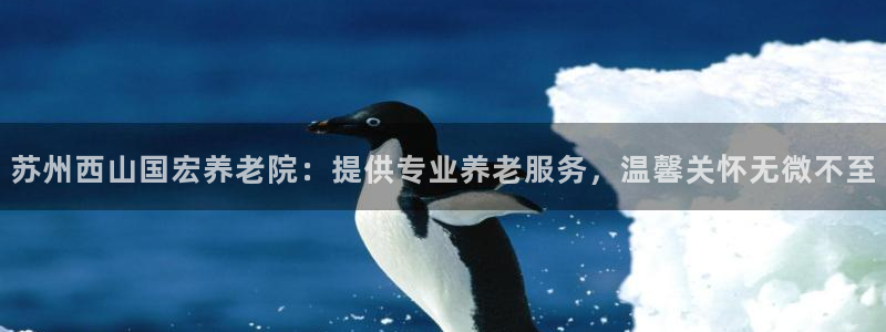韦德 网站