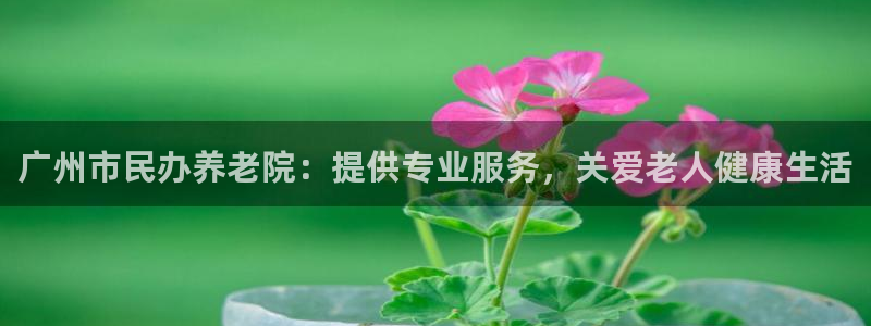 韦德合集