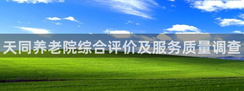韦德新品