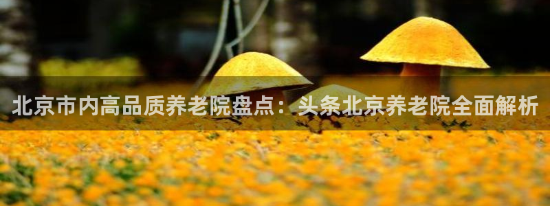 韦德网站官网