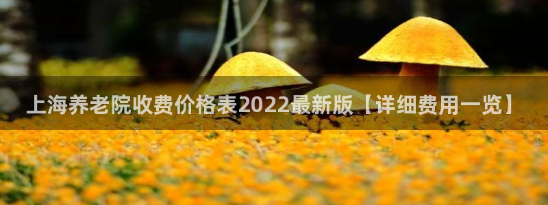 韦德游戏注册