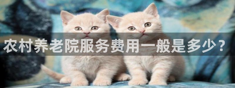 韦德游戏注册是搞什么的