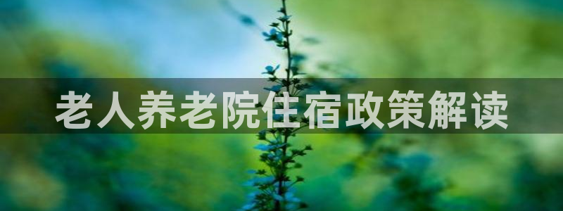 韦德1946国际