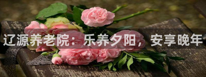1946韦德网站