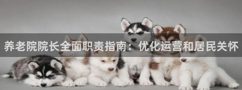 韦德新品