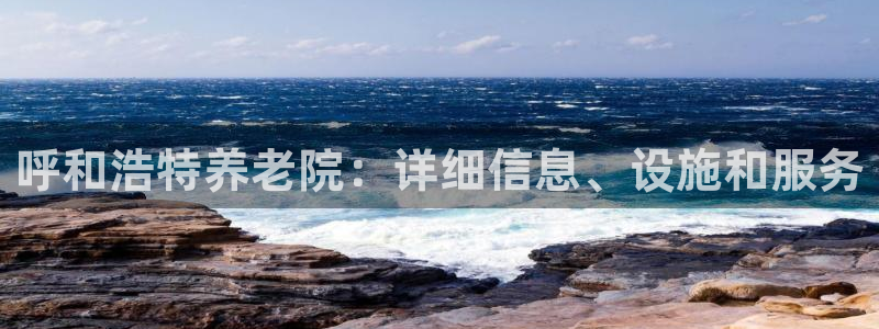 韦德观战总决赛G3