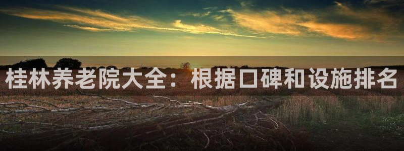韦德是哪一届
