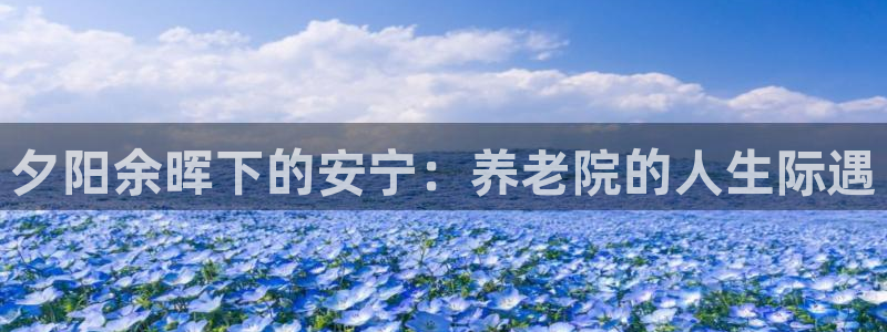 韦德游戏是什么