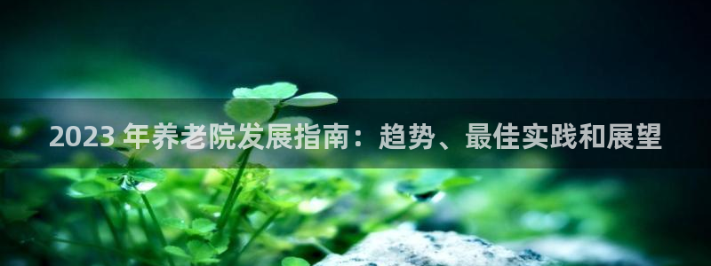 韦德1946国际