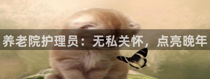 1946 韦德