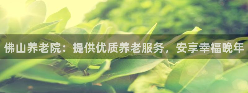 韦德1946体育官方入口