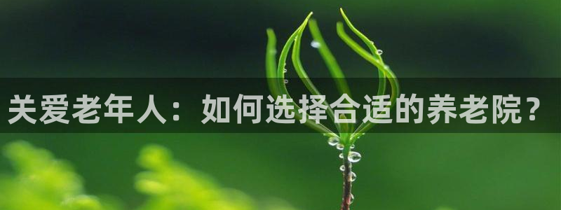 韦德全系列