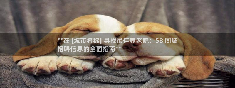 韦德 官网